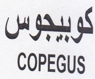 COPEGUS كوبيجوس