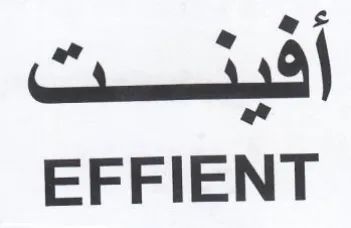 EFFIENT أفينت