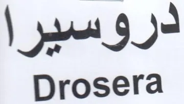 Drosera دروسيرا trademark logo