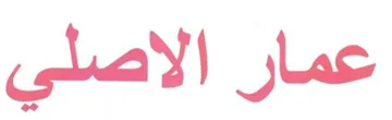 (figurative mark)