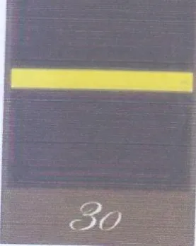 (figurative mark) trademark logo