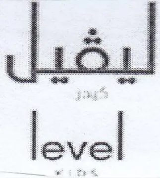 level trademark logo