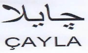 soe CAY LA trademark logo