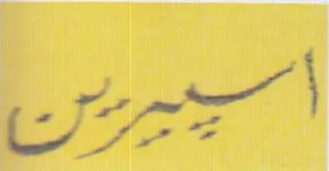 te trademark logo