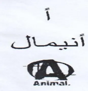 i Je trademark logo