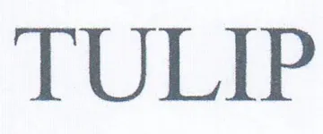 TULIP
