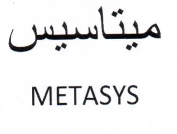 METASYS trademark logo