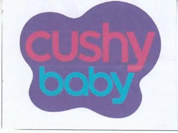 pay trademark logo