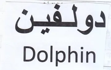 ait 9 Dolphin trademark logo