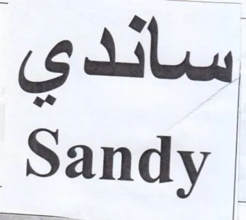 gaily Sandy trademark logo