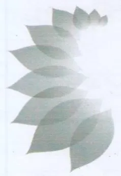 :5 trademark logo