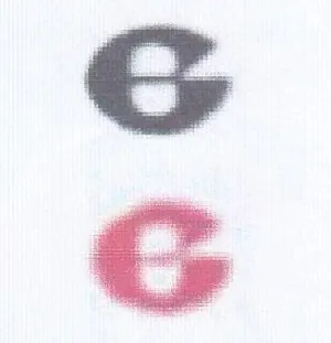 6 G trademark logo
