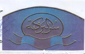 eS trademark logo