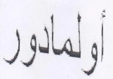 مادور trademark logo
