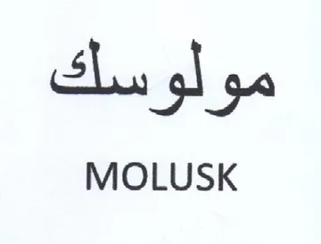 MOLUSK مولوسك trademark logo