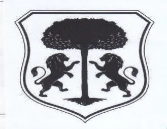 (figurative mark)