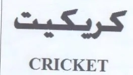 CRICKET trademark logo