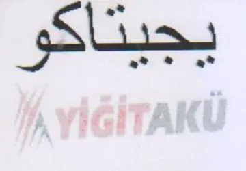 (figurative mark)