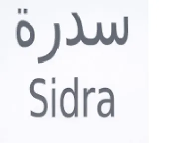 IW Sidra