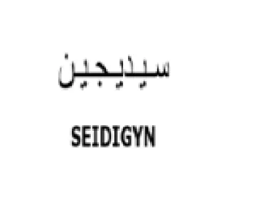 SEIDIGYN