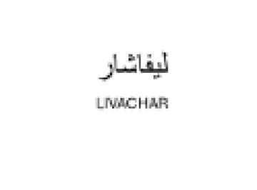 ليفاشار