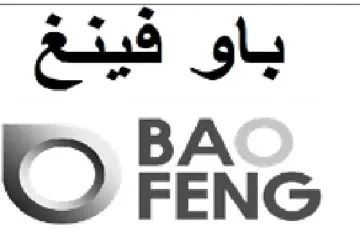 FENG باو فينغ