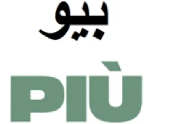 Sas PIU