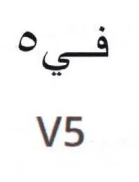 o 4 V5