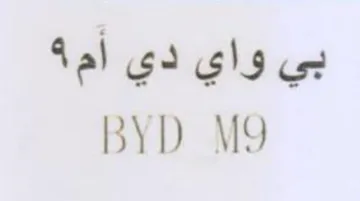BYD M9 بي واي دي