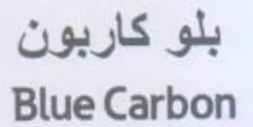 Blue Carbon بلو كاربون