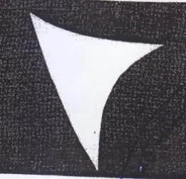 Vv