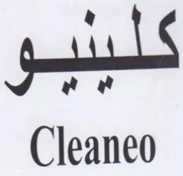 Cleaneo trademark logo