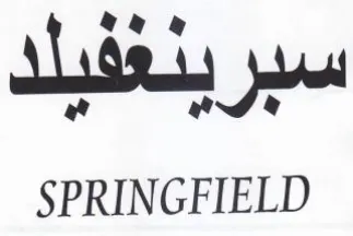 SPRINGFIELD سير