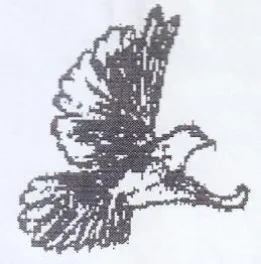 oie 3 3 Bar trademark logo