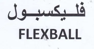 FLEXBALL فليكسبول