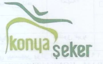 Nee hontaeter