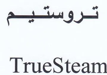 TrueSteam تروستيم