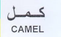 des CAMEL
