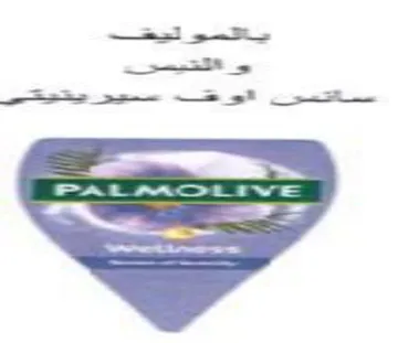 Ts a ee مسساكسون انو ند