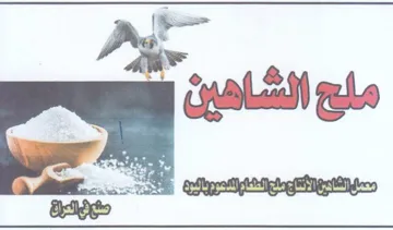 ceil gel ححنانها