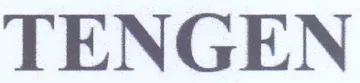 TENGEN trademark logo