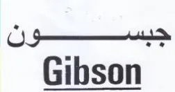 Gibson جبسون