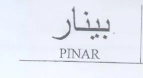 PINAR