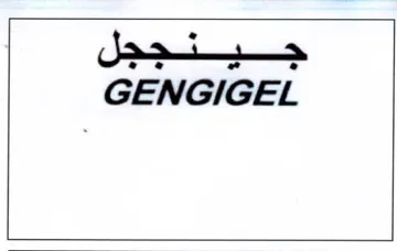 GENGIGEL