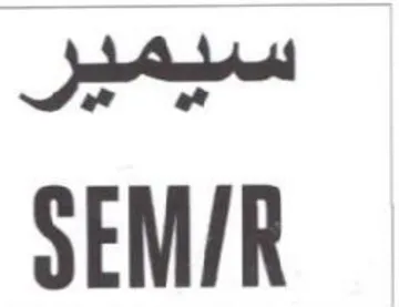 pe SEM trademark logo