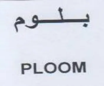 PLOOM بلوم