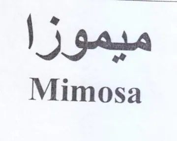 Mimosa ميمورا