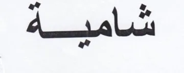 (figurative mark)