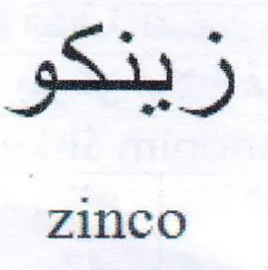gb 5 zinco