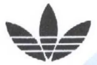 صف